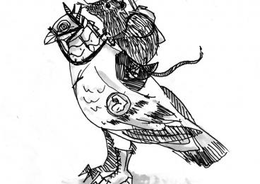 Battle pigeon and rat